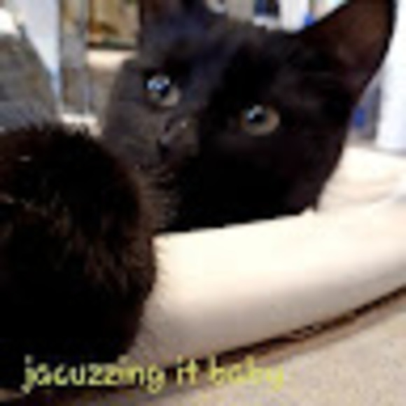 Meet your Posher, Kaila - Picture 1 of 1